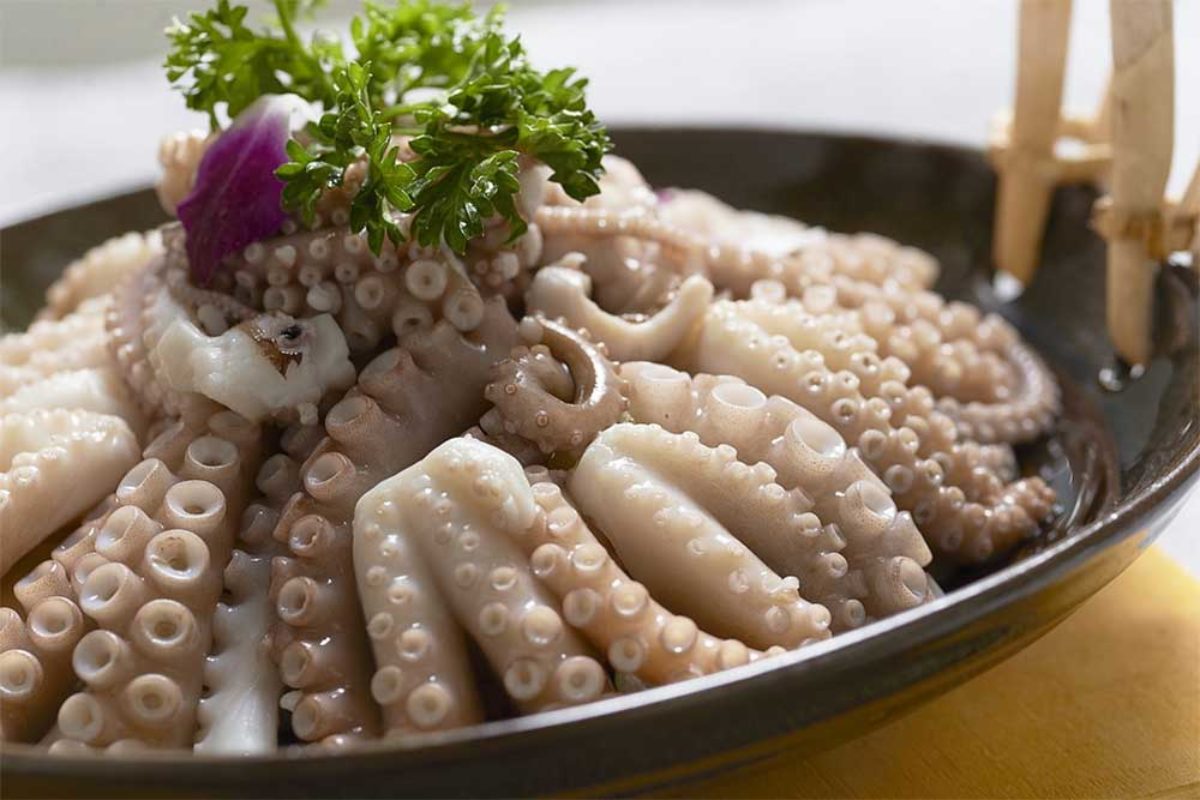 What Does Octopus Taste Like? – The Kitchen Community image