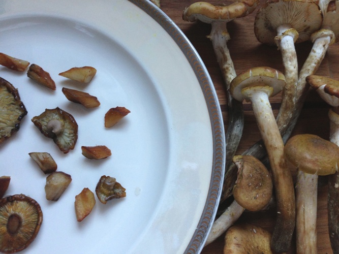 Sauteed honey mushrooms and their stems recipe image