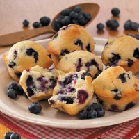 OLD FASHIONED BLUEBERRY MUFFINS RECIPE