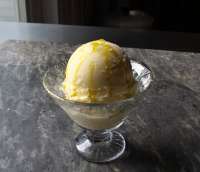 Italian Crema Ice Cream (Gelato alla Crema) | Allrecipes image