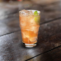 Lemon Lime and Bitters (Non-alcoholic) Cocktail Recipe image