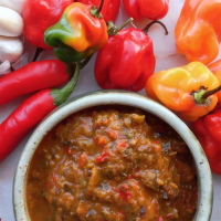 THE END HOT SAUCE RECIPES