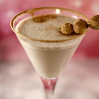 Cocoa Snickerdoodle RumChata Martini Recipe | A Magical Mess image