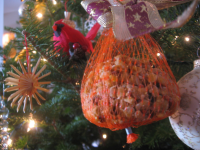 Suet Balls for Birds (For Christmas) Recipe - Food.com image