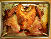 Spatchcock Turkey Recipe : Taste of Southern image