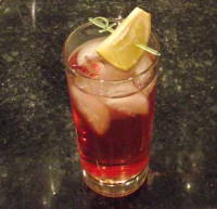 Cranberry Gin and Tonic Recipe - Food.com image