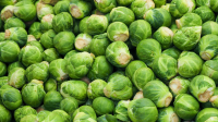 How to Trim Brussel Sprouts - I Really Like Food! image
