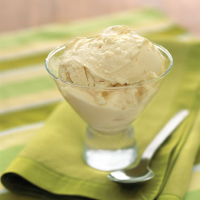 Vanilla Ice Milk Recipe | MyRecipes image