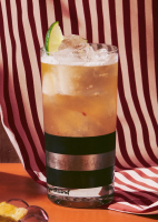 Tequila, Beer, and Citrus Cocktail Recipe | Bon Appétit image