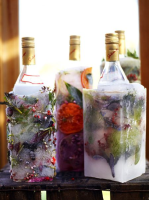 Frozen festive vodka bottle - Jamie Oliver Recipes image