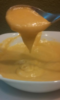 Copy Cat Wendy's Honey Mustard Dipping Sauce Recipe - Food.com image