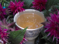 Bee Balm Tea Recipe - Food.com image