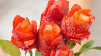 HOW TO CUT A STRAWBERRY INTO A ROSE RECIPES