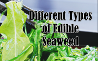 10 Different Types of Edible Seaweed with ... - Asian Recipe image