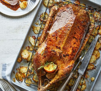 Roast goose recipes | BBC Good Food image