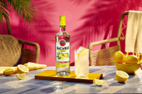 Limonade Rum Cocktail Recipe | How to make a Limonade ... image