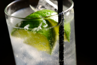 Tequila and Tonic Recipe - NYT Cooking image