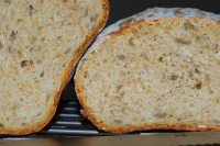 Multigrain Sourdough Bread Recipe - Food.com image