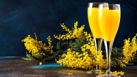 101 Mimosa Cocktail Recipes You Should Try On A Girls' Day ... image