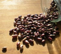 How to Make a Simple Pot of Anasazi Beans Recipe - Food.com image