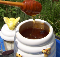 Homemade Lavender Honey Recipe - Food.com image