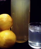 Lemon Cordial Recipe - Food.com image