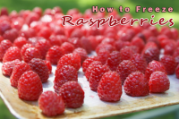 How to Freeze Raspberries Recipe - Food.com image