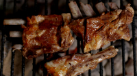 Venison Ribs | MeatEater Cook image