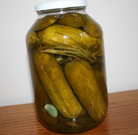 Dill Pickles-(One Jar at a Time) Recipe - Food.com image