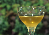 Poor Digestion Relieved With Honey & Acv Recipe - Food.com image