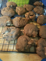 CHOCOLATE CHIP MARSHMALLOW COOKIE RECIPE RECIPES