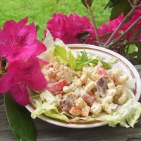 Bacon and Macaroni Salad Recipe | Allrecipes image