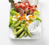 COBB SALAD WITH RANCH DRESSING RECIPES
