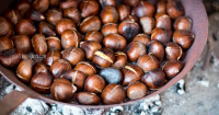How To Roast Chestnuts On An Open Fire - Italian Recipe Book image