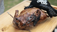 Asian Inspired Smoked Duck Recipe – Pit Barrel Cooker image