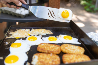 GRIDDLE PLATE RECIPES
