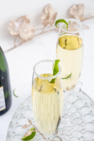 Alcoholic Drinks – BEST Champagne Margarita Recipe – Easy ... image