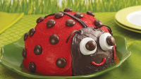 Ladybug Cake Recipe - BettyCrocker.com image