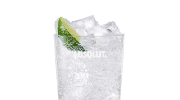 Absolut and Soda Recipe | Absolut Drinks image