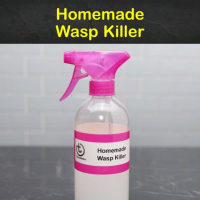 Killing Wasps Safely - 11 Homemade Wasp Killer Tips and ... image