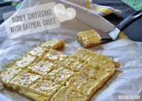 Gluten-free cheesecake bars with oatmeal crust image