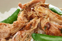 PULLED CHICKEN STOVE TOP RECIPES