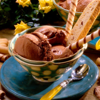 Mocha Ice Cream Recipe | MyRecipes image