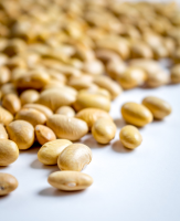 Must Try These Peruano Beans (aka Peruvian, Canary ... image