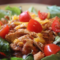 SPICY PULLED CHICKEN SLOW COOKER RECIPES