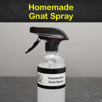 Homemade Gnat Spray Recipe - What Can I Spray to Get Rid ... image