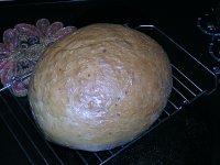 Fast Bake White Bread (Bread Machine) Recipe - Food.com image