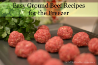 HOW TO FREEZE GROUND BEEF RECIPES