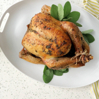 WHERE TO PUT THE THERMOMETER IN A TURKEY RECIPES
