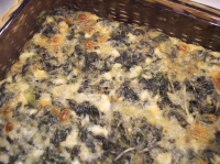 SPINACH COTTAGE CHEESE CASSEROLE RECIPES